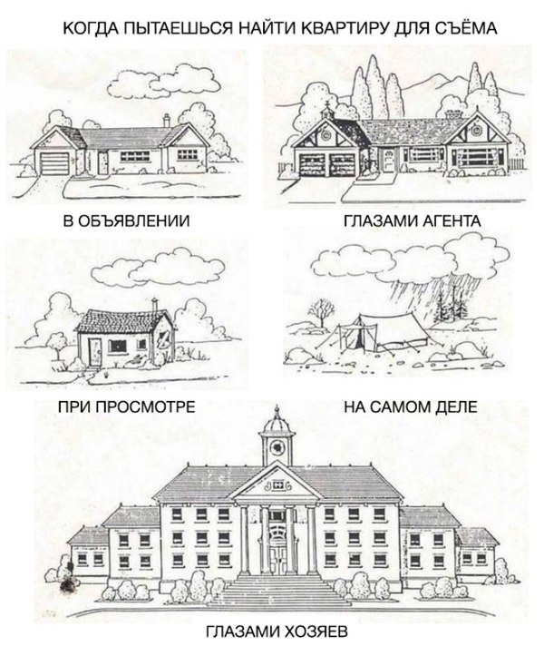 Так себе картинки 17.01.26