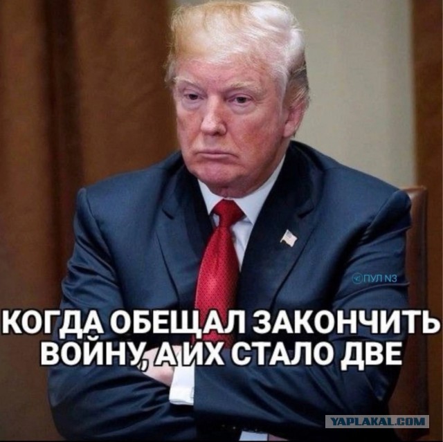 Генконсул Израиля в Нью-Йорке заявил, что Дональд Трамп и Биньямин Нетаньяху заслуживают Нобелевскую премию мира