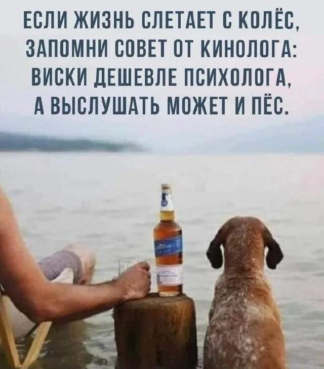 Выходные