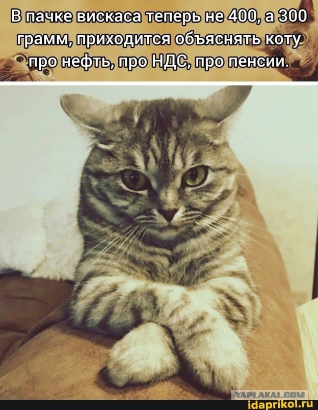 Брутален