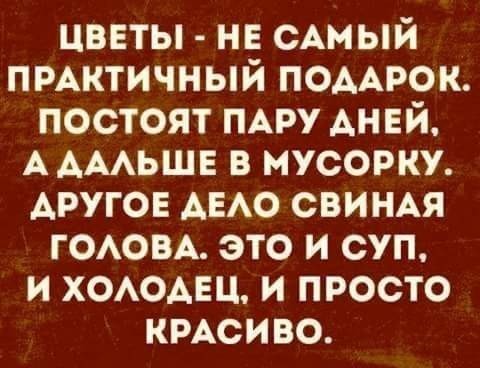 Как раз то, о чём он мечтал