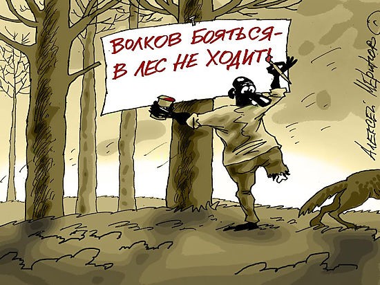 Опасная встреча человека с волком