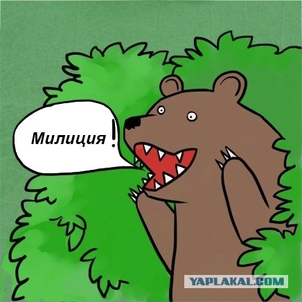 Украинские девушки - милиционерки