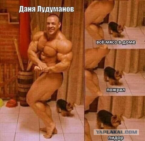 Профессиональный культурист на пике формы.