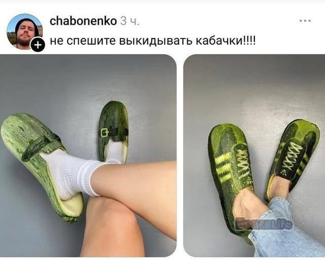 Аккордеоны 2