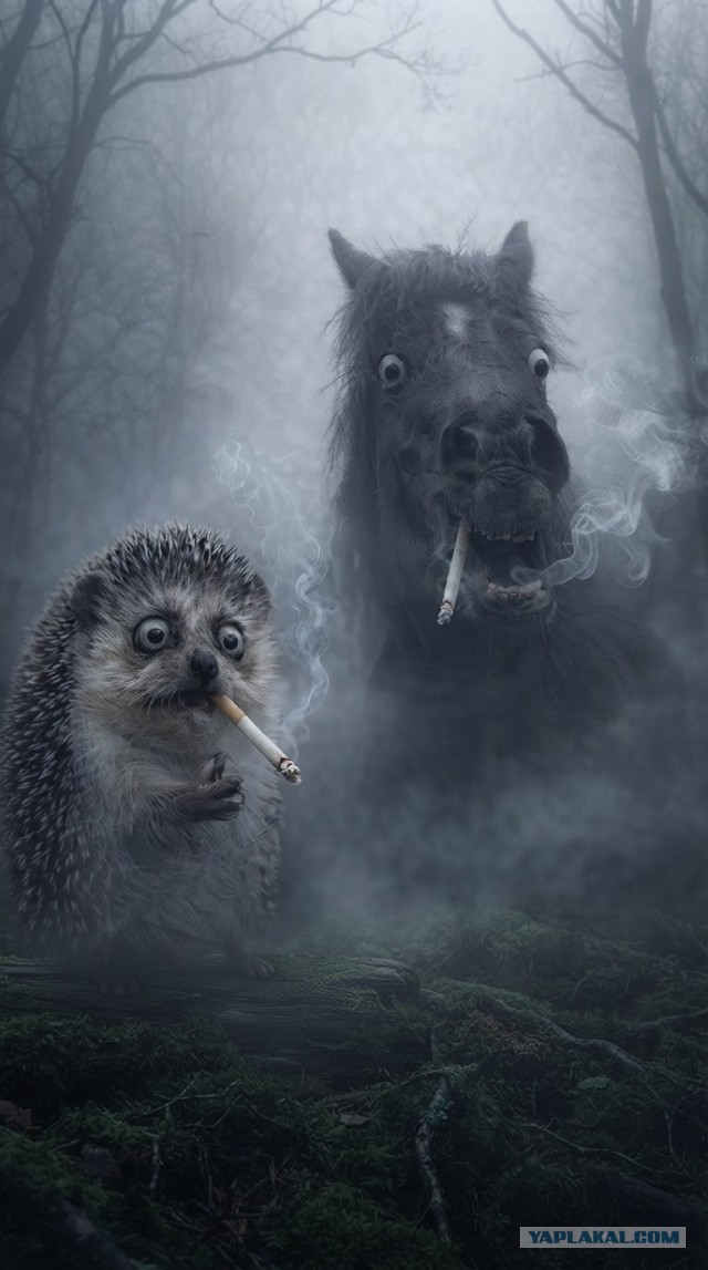 Отличная заставка!