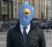 «Птица счастья»
