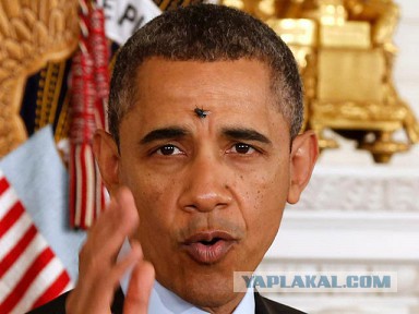 Жириновский будет добиваться ухода макдака из РФ