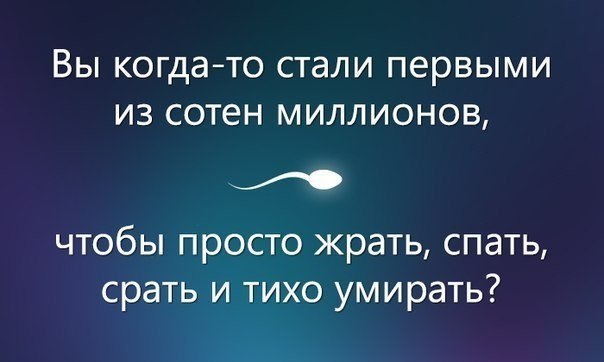 Смешные картинки