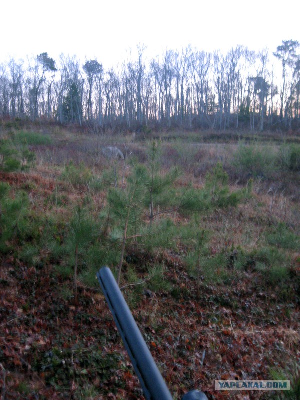 Оружейная выставка в США