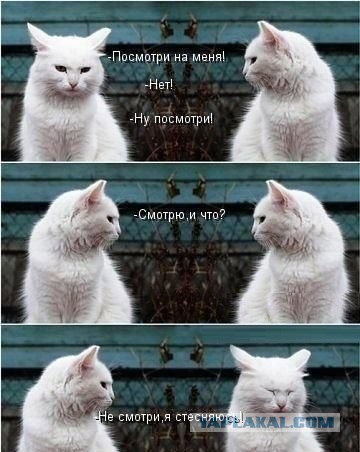 Смешные картинки и комментарии