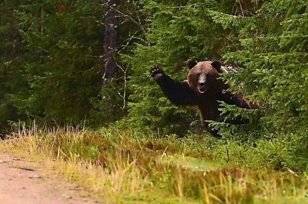 Вот это поворот ! Очередное высказывание Меркель