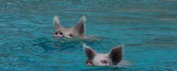 Окружение Мариуполя + немного географии))