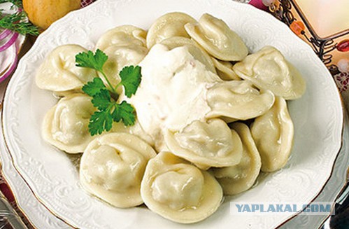 Закрывают Шавермы!