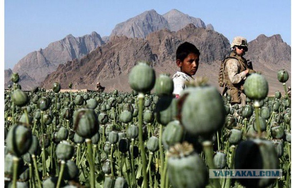 Я - Русский Оккупант, видео