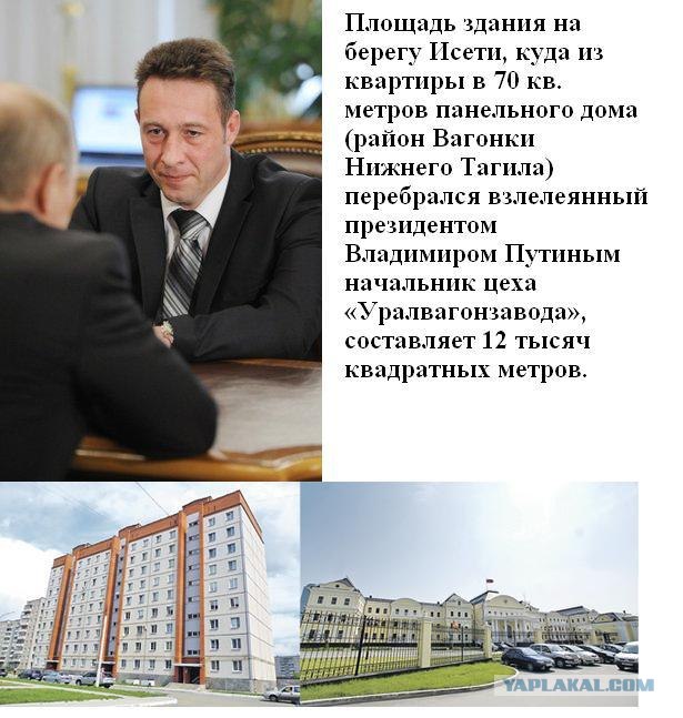 Воры, политики, коррупция...