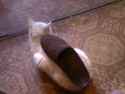 Фотостресс