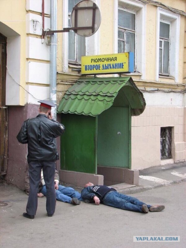 Веселые картинки