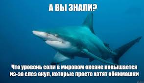 Акула решила подзакусить лодкой