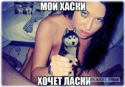 Когда девушкам скучно на работе
