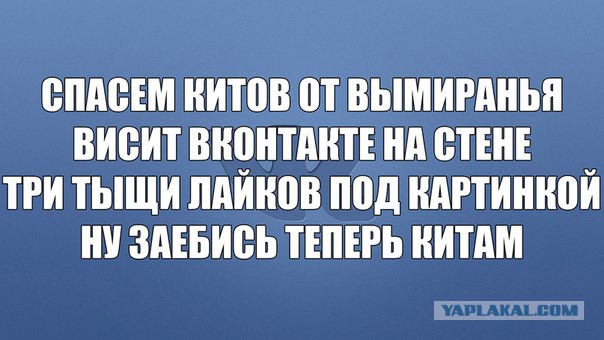 Всем всё равно?