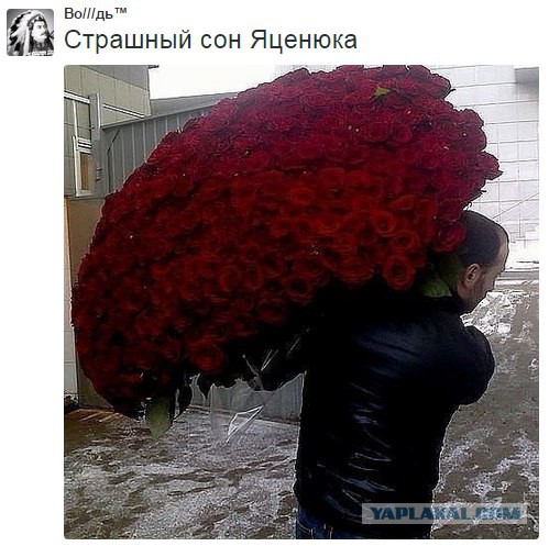 Сеня просится на жабу.
