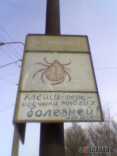 ВЫВЕСКИ, ТАБЛИЧКИ. Смешные и прикольные