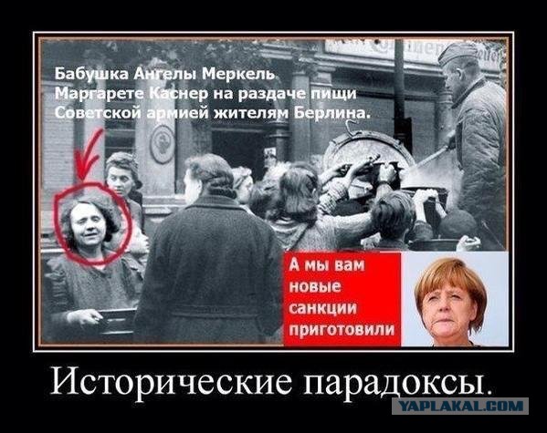 Европейские крестоносцы Гитлера под Ленинградом
