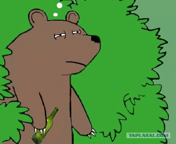 Вот это крабы в Австралии