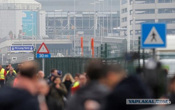 СБУ допускает  российский след  во взрывах в Брюсселе
