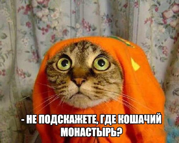 Мохнатые беспредельщики