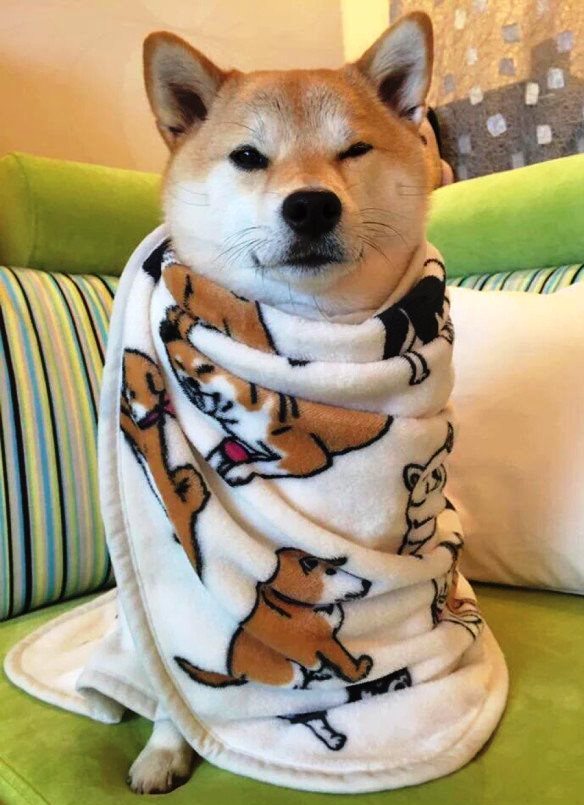 Подборка интересных и веселых картинок