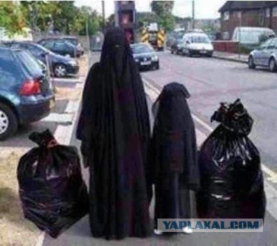 Подборка странных снимков из серии "Что тут, черт возьми, происходит?!"