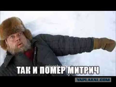Гендерный срач, полагаю...