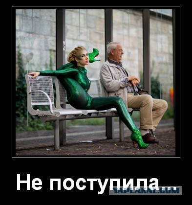 Ассорти картинок из сети