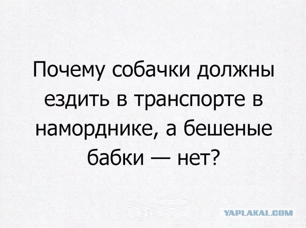 Смешные комментарии из социальных сетей 03.11.2016