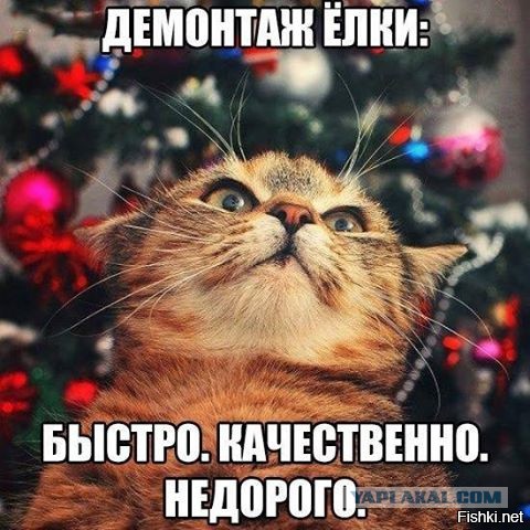Пятничная подборка картинок