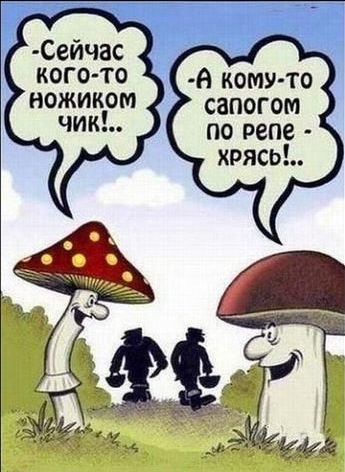 Картинки с сети
