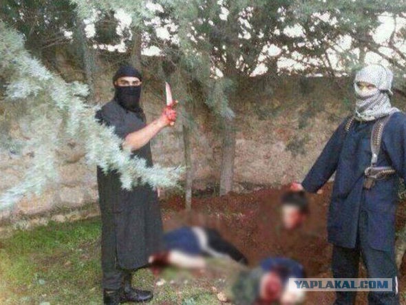 В Берлине начался пеший поход в Алеппо