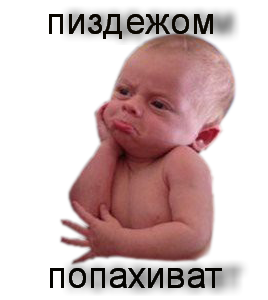 Как это делается: мифы и реальное производство белорусских креветок