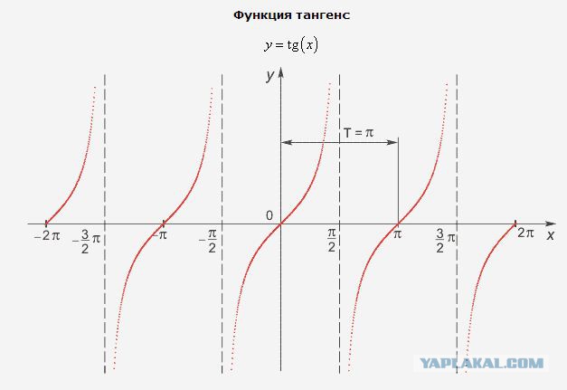 Сверху черный, снизу белый — самые провальные попытки загореть