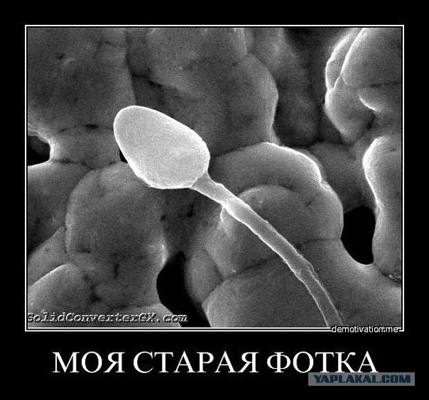 Теории о Вселенной и объективной реальности.