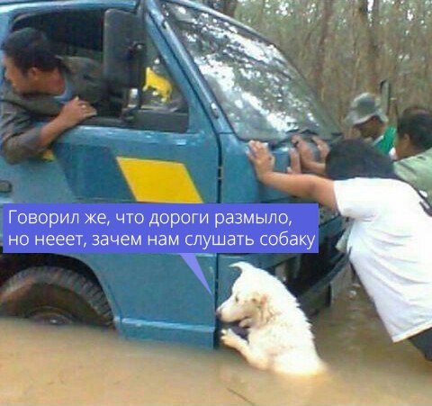 Веселые картинки - 2. Ждем выходных. Деградация. Философия. Абсурд. И капелька чернухи