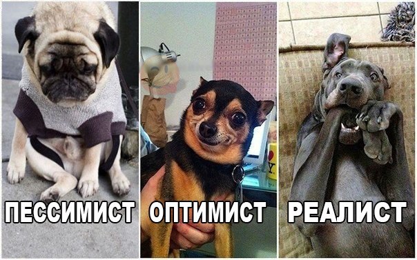 Прикольные картинки 28.06.2017.