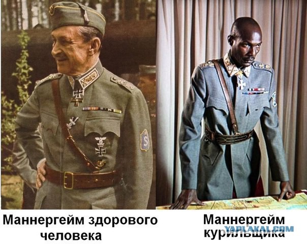 Фанаты «Аладдина» раскритиковали Disney из-за «cлишком белой» актрисы на роль Жасмин