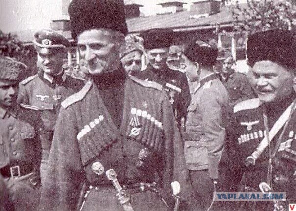 Пенсионерка устроила одиночный пикет. Казак вырвал у нее из рук плакат