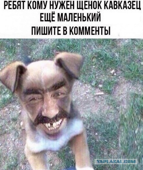 Приколы на любые темы