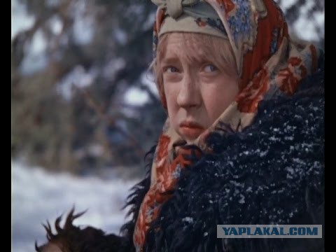 С телефона Аршавиной стюардессе "Аэрофлота" начали приходить угрозы