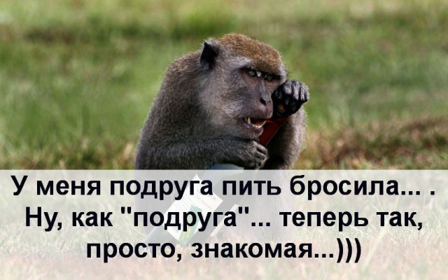 "Он не кусается". Фельдшер — о том, как обычную скорую вызывают к обезьянам