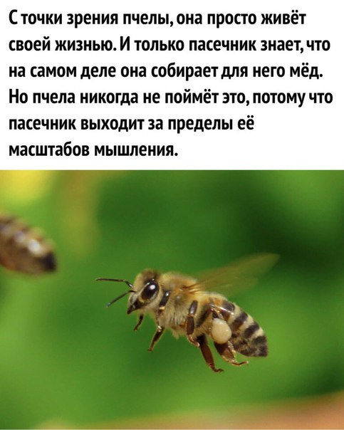 Прикольные комментарии и высказывания из Сети